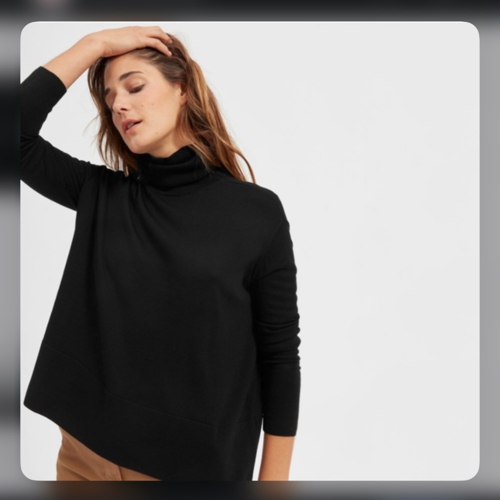 Everlane luxe wool square turtleneck